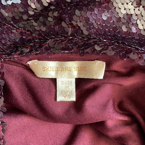 Maroon Sequin Dress - Picture 3 of 3
